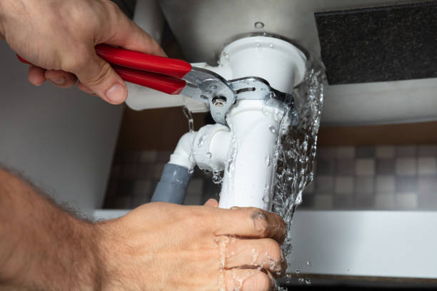 Best Water damage cleanup near me  in Marion Oaks, FL