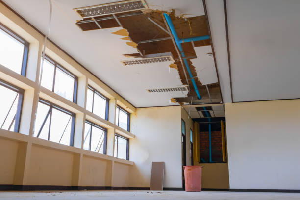 Best Professional water damage repair  in Marion Oaks, FL