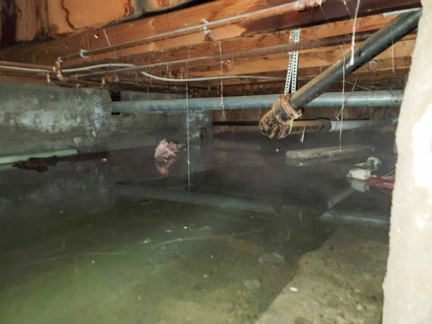  Marion Oaks, FL Water damage restoration Pros
