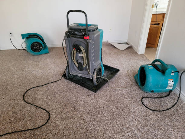 Best Sewage cleanup and water damage restoration  in Marion Oaks, FL
