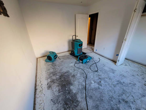 Best Flooded house restoration  in Marion Oaks, FL