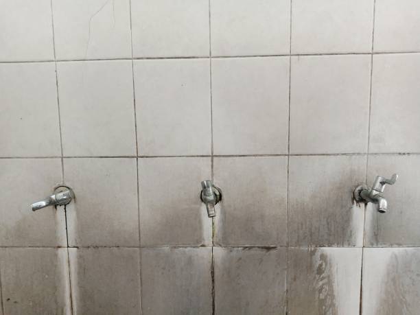 Best 24-hour water damage restoration  in Marion Oaks, FL