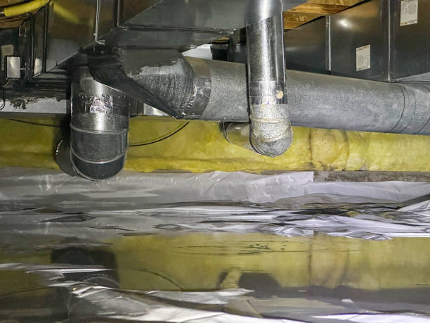 Best Flood damage cleanup  in Marion Oaks, FL