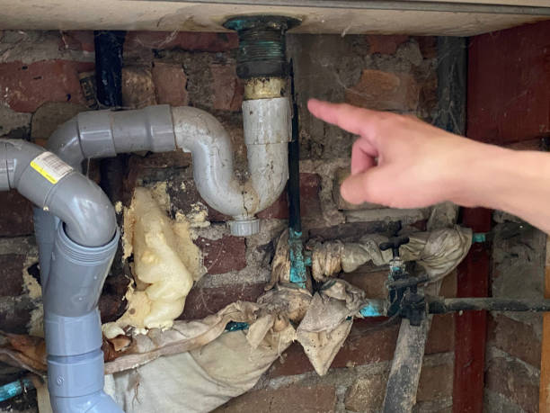 Best Water damage contractors near me  in Marion Oaks, FL