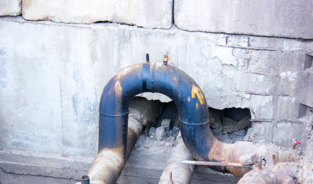Best Basement water damage restoration  in Marion Oaks, FL