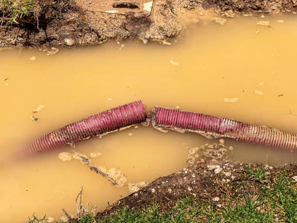 Best Flood restoration services  in Marion Oaks, FL